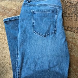 Gloria Vanderbilt Amanda jeans sz 20w